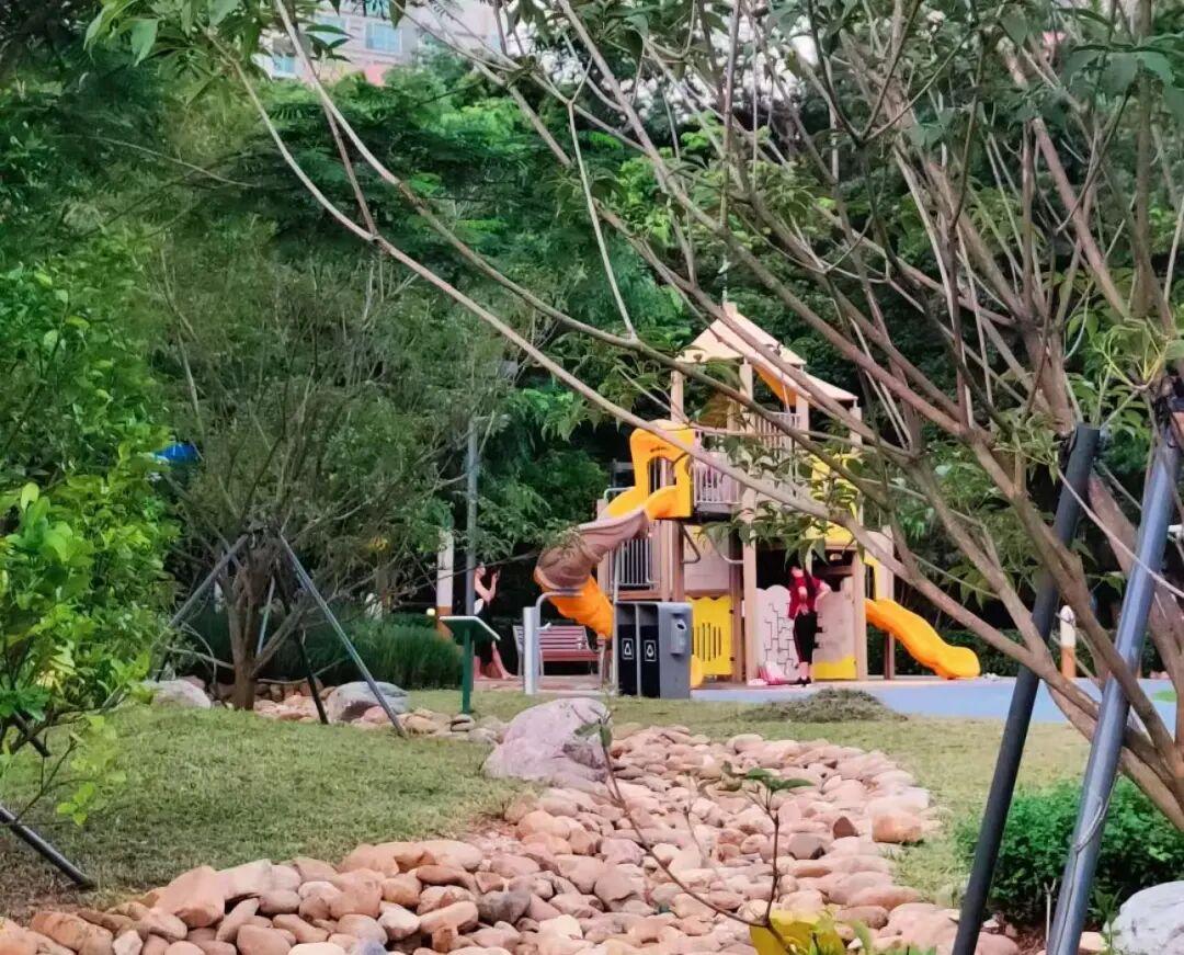 新版港澳六宝大全