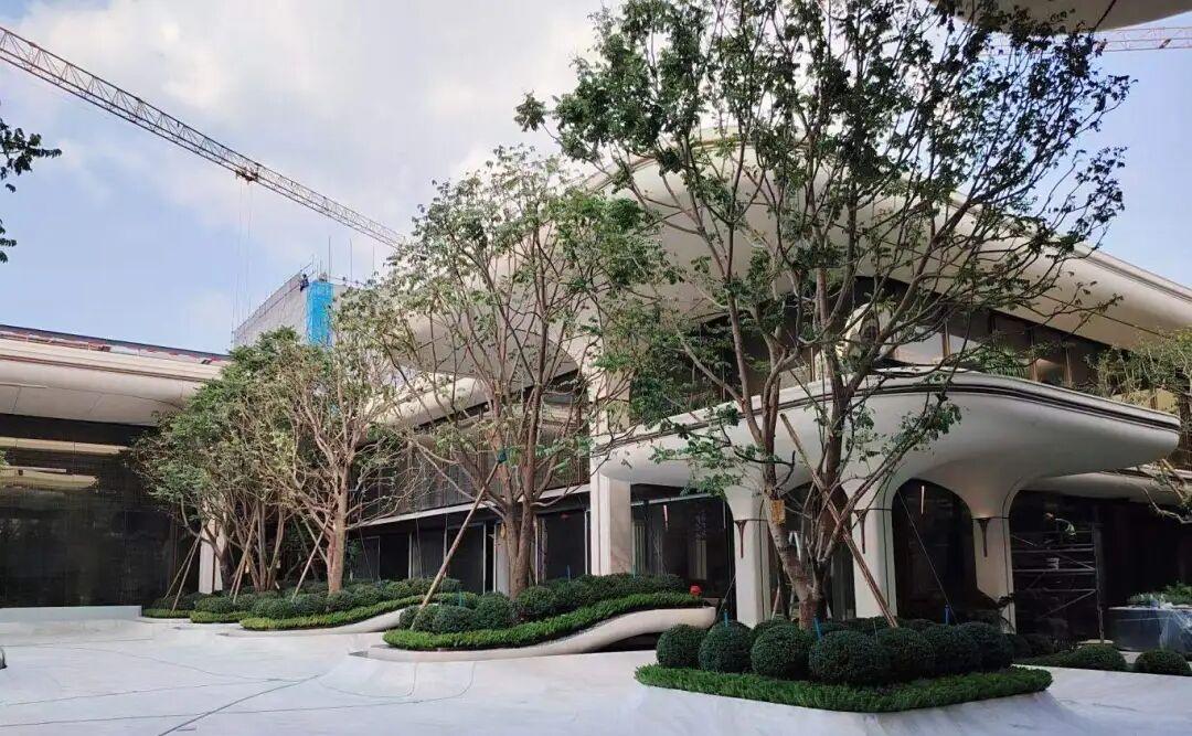 新版港澳六宝大全