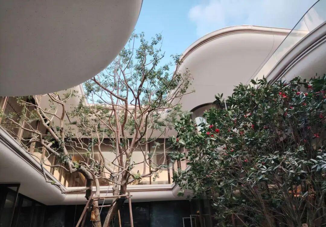 新版港澳六宝大全